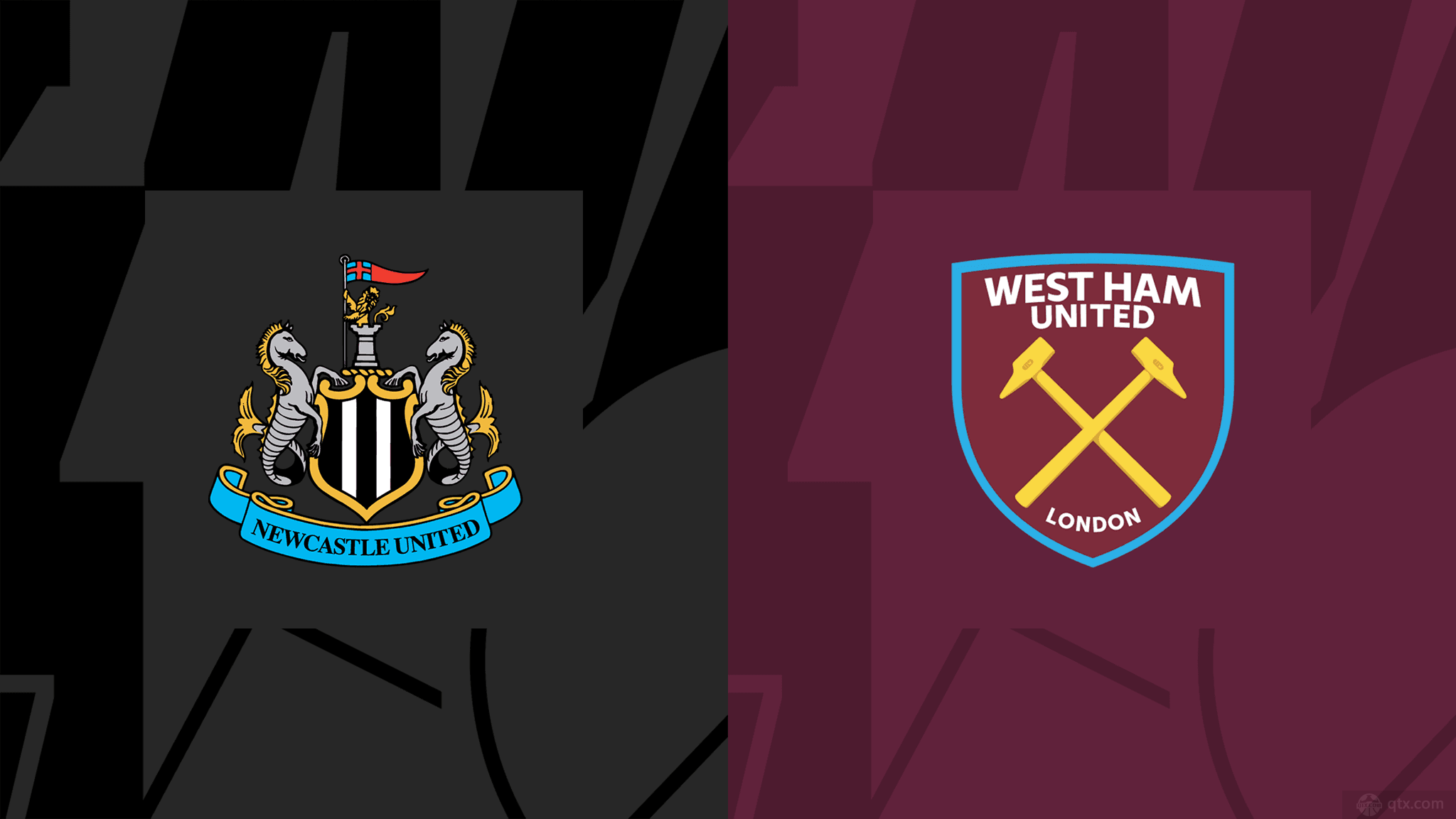 教练团队采 教练团队采